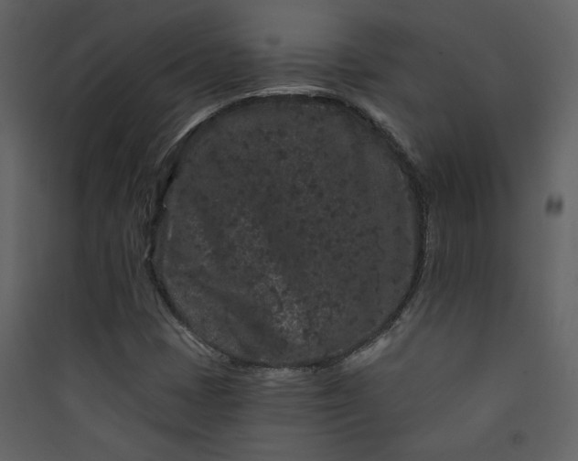 X0000089911401200707131340