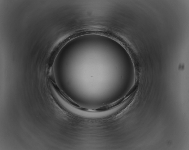 X0000089911402200707131340