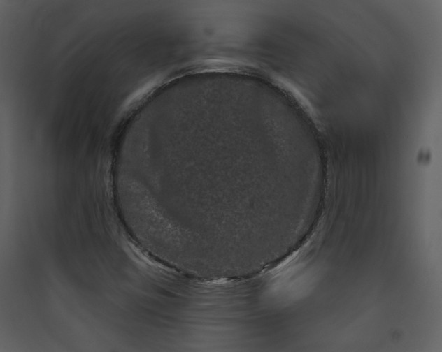 X0000089911403200707131340