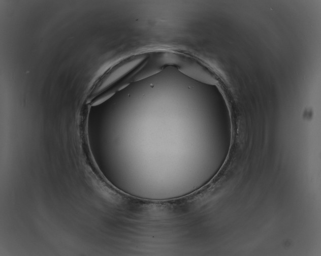X0000089911404200707131340