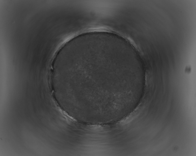 X0000089911405200707131340