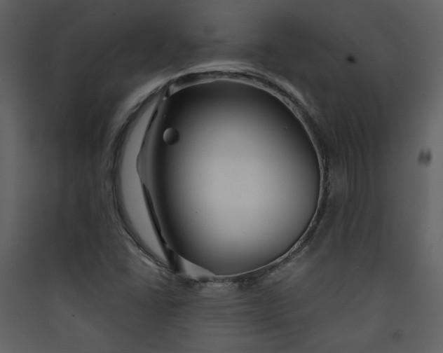 X0000089911406200707131340