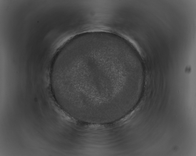 X0000089911407200707131340