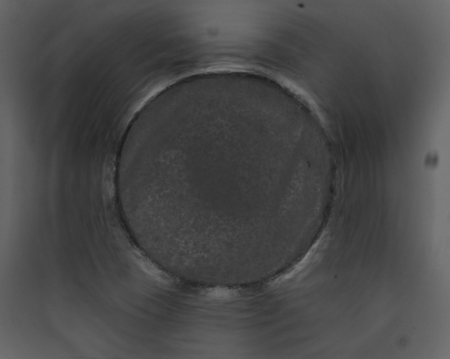 X0000089911409200707131340