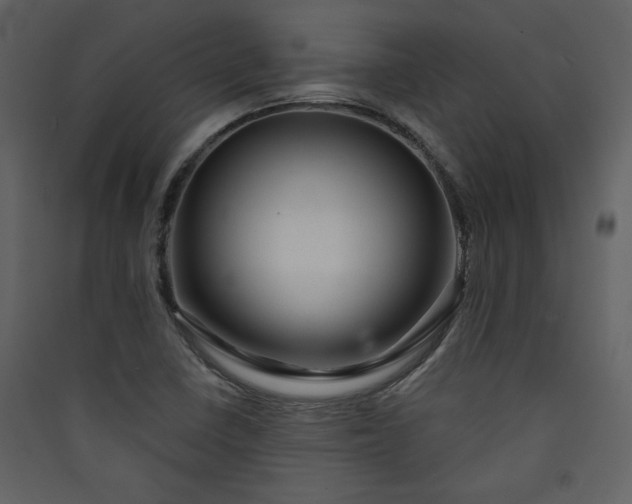 X0000089911410200707131340
