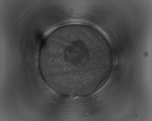 X0000089911411200707131340