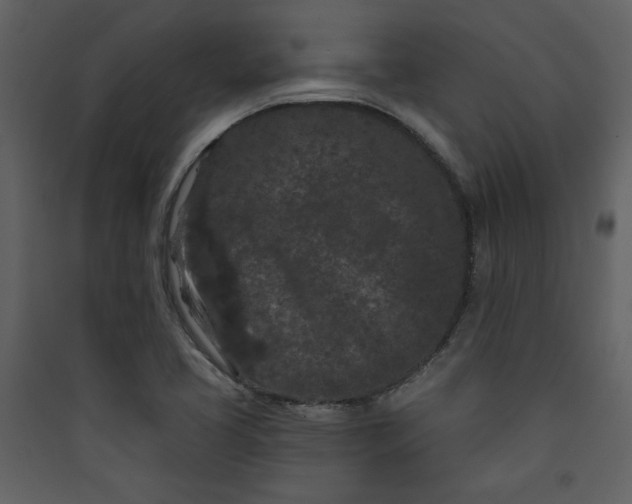 X0000089911413200707131340