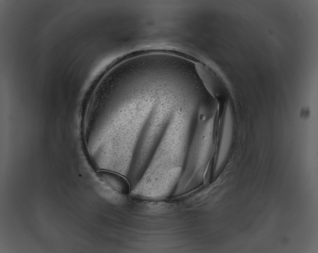 X0000089911416200707131340