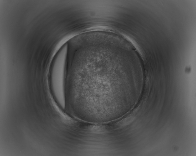 X0000089911418200707131340