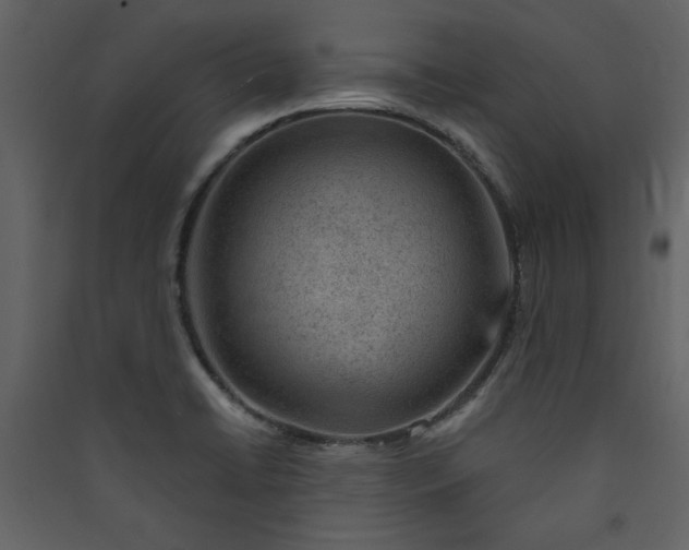 X0000089911422200707131340