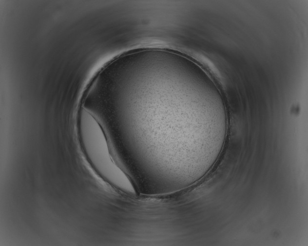 X0000089911424200707131340