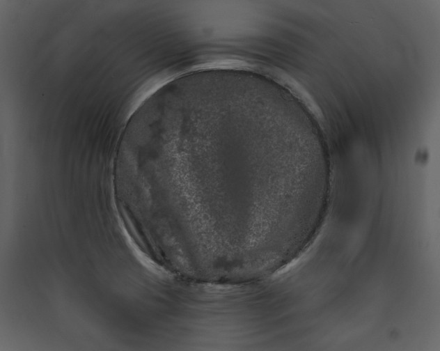 X0000089911425200707131340