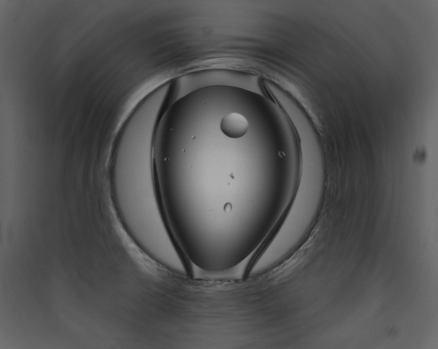 X0000089911426200707131340
