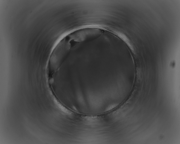 X0000089911428200707131340