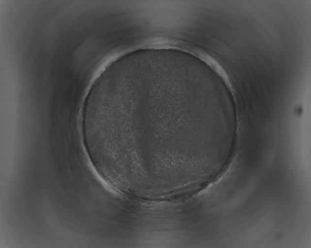 X0000089911429200707131340