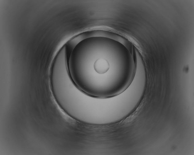 X0000089911430200707131340