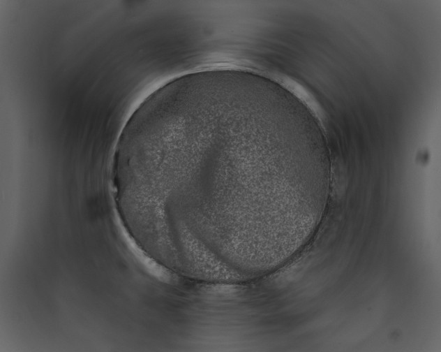 X0000089911431200707131340