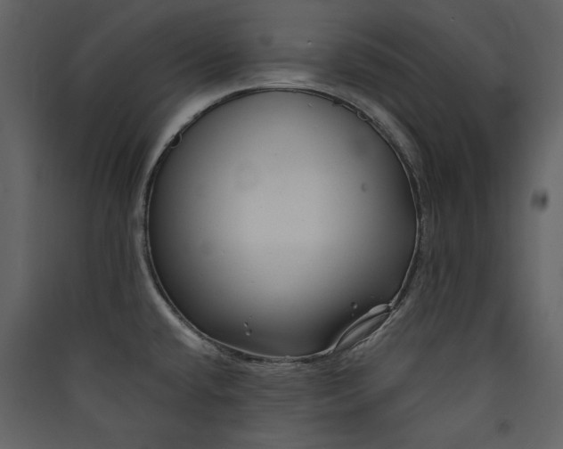 X0000089911432200707131340