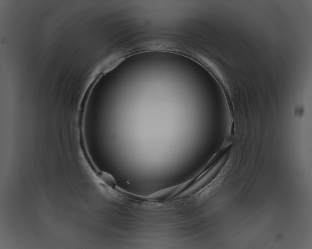 X0000089911434200707131340