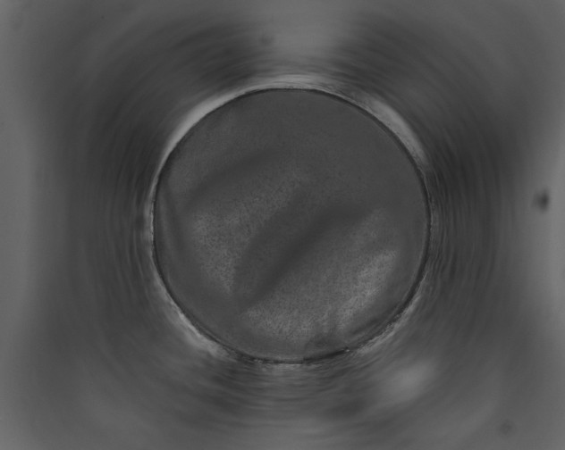 X0000089911436200707131340