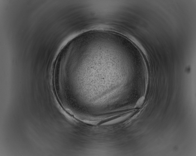 X0000089911437200707131340