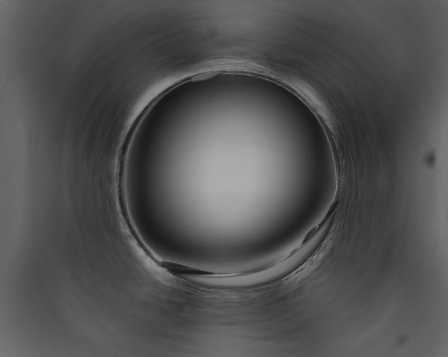X0000089911438200707131340
