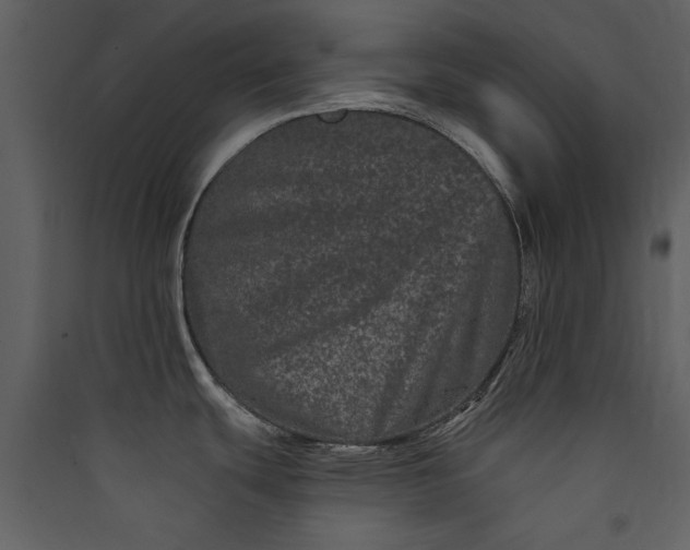 X0000089911439200707131340