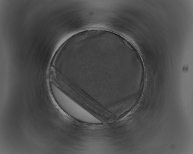 X0000089911440200707131340