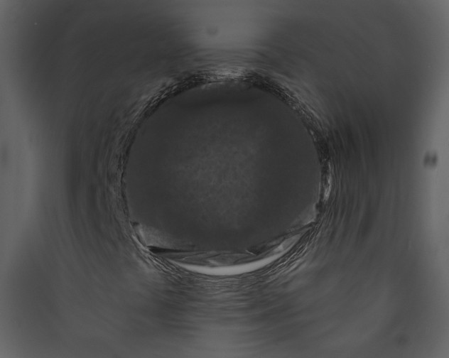 X0000089911441200707131340
