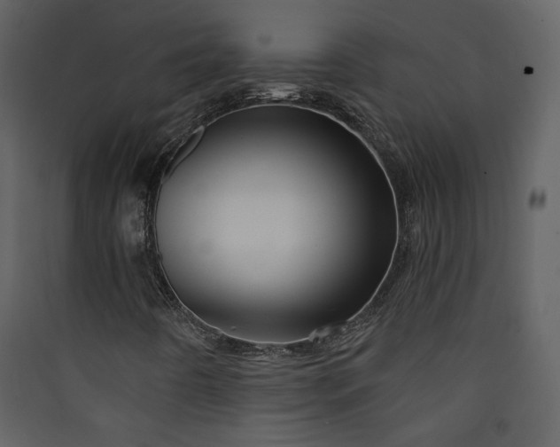 X0000089911442200707131340