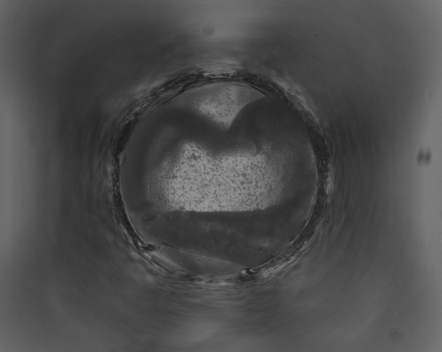 X0000089911445200707131340