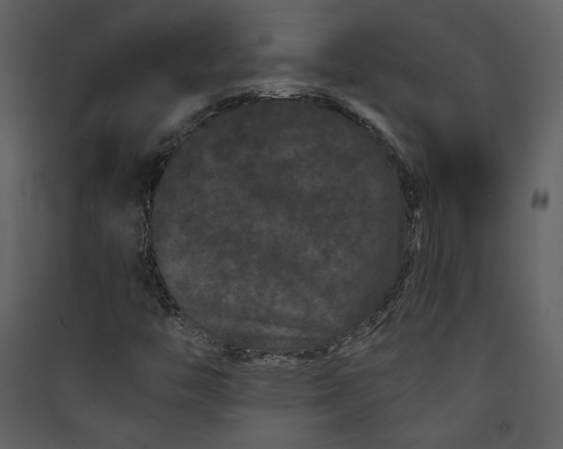 X0000089911446200707131340