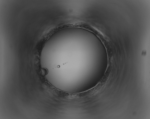 X0000089911447200707131340