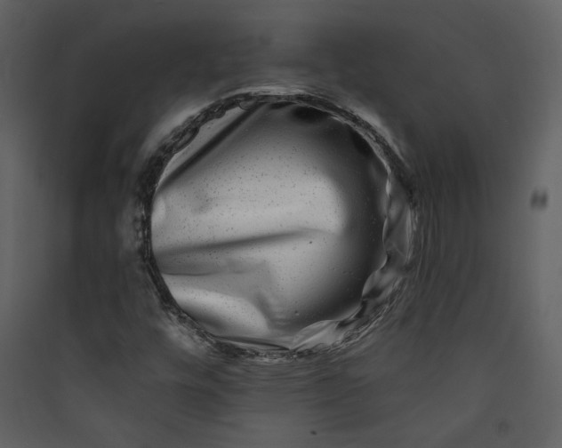 X0000089911448200707131340