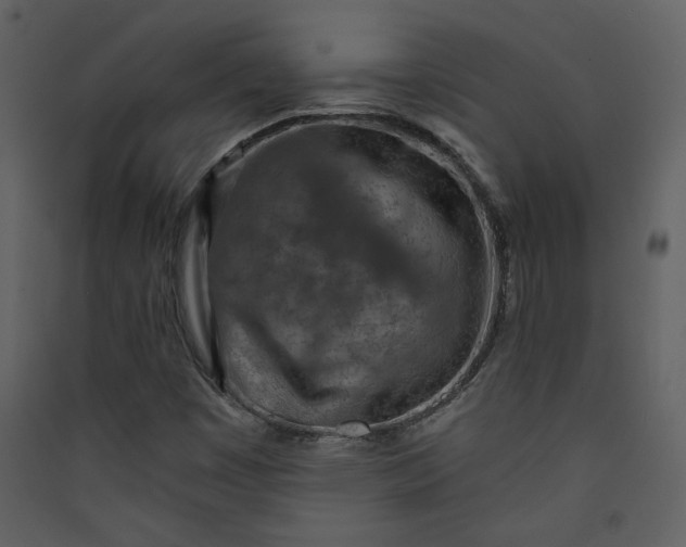 X0000089911449200707131340