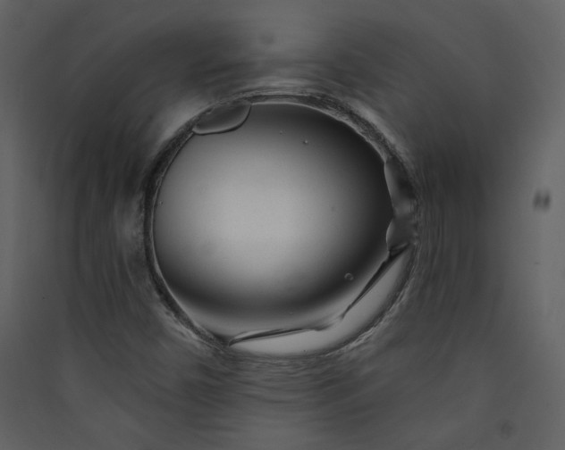 X0000089911450200707131340
