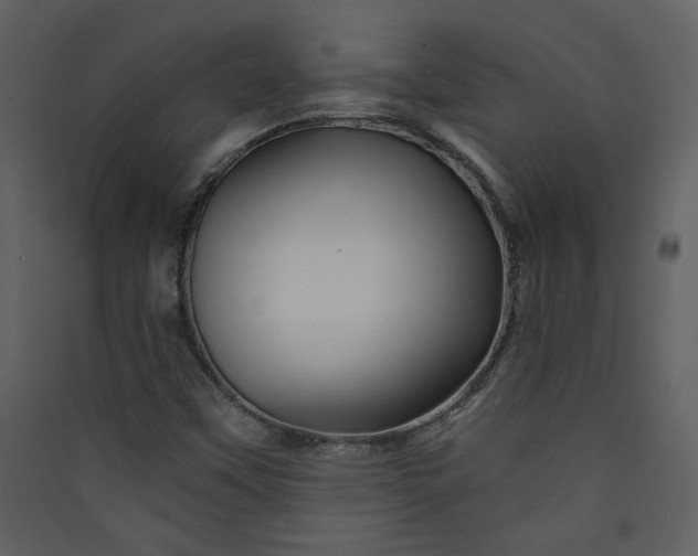 X0000089911451200707131340