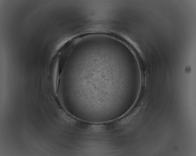 X0000089911453200707131339