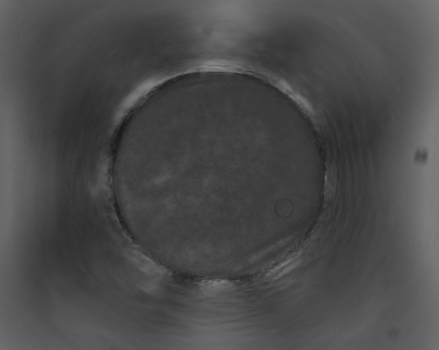 X0000089911454200707131339