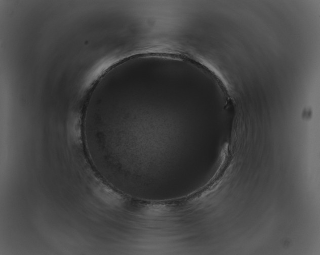 X0000089911455200707131339