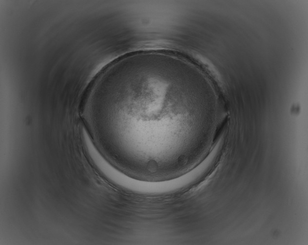 X0000089911457200707131339