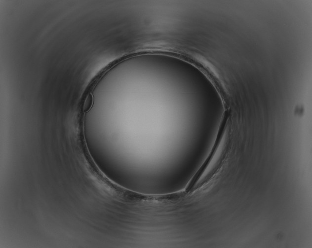 X0000089911458200707131339