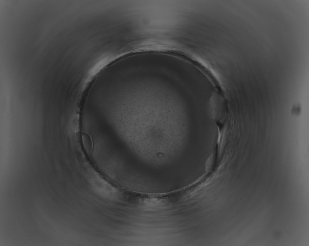 X0000089911459200707131339