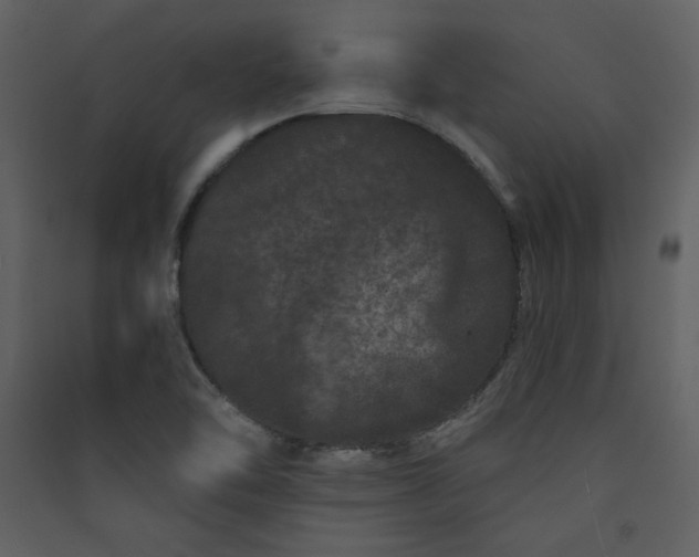 X0000089911462200707131339