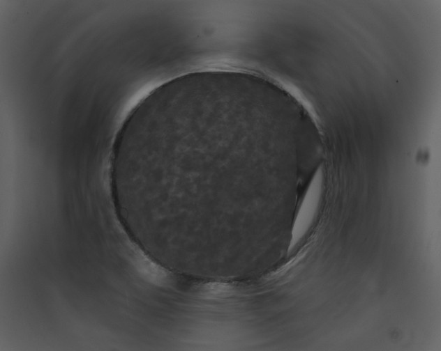 X0000089911463200707131339