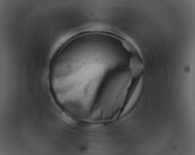 X0000089911464200707131339