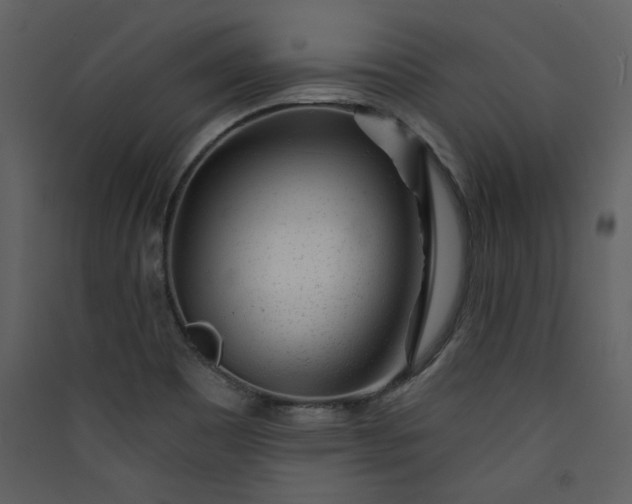 X0000089911465200707131339
