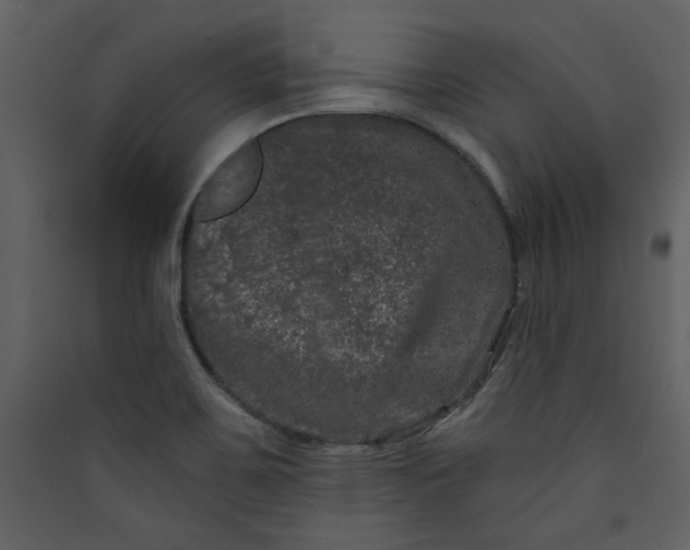 X0000089911467200707131339