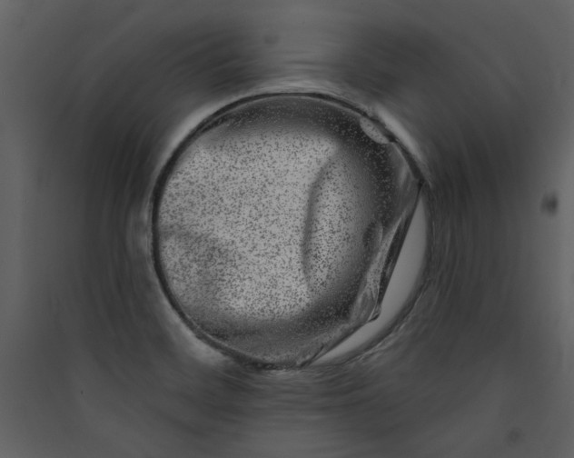 X0000089911468200707131339