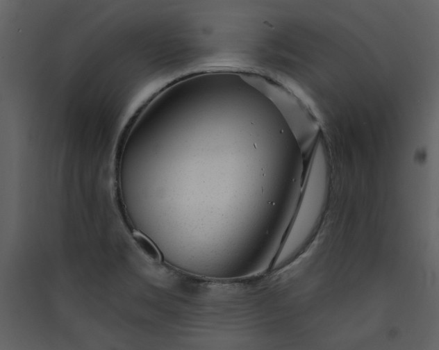 X0000089911469200707131339